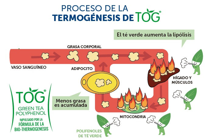 Kronuit® Fire 2.0 Caja 27 Sobres Frutos Rojos
