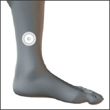 Parche LifeWave Silent Nights “Parche REM”